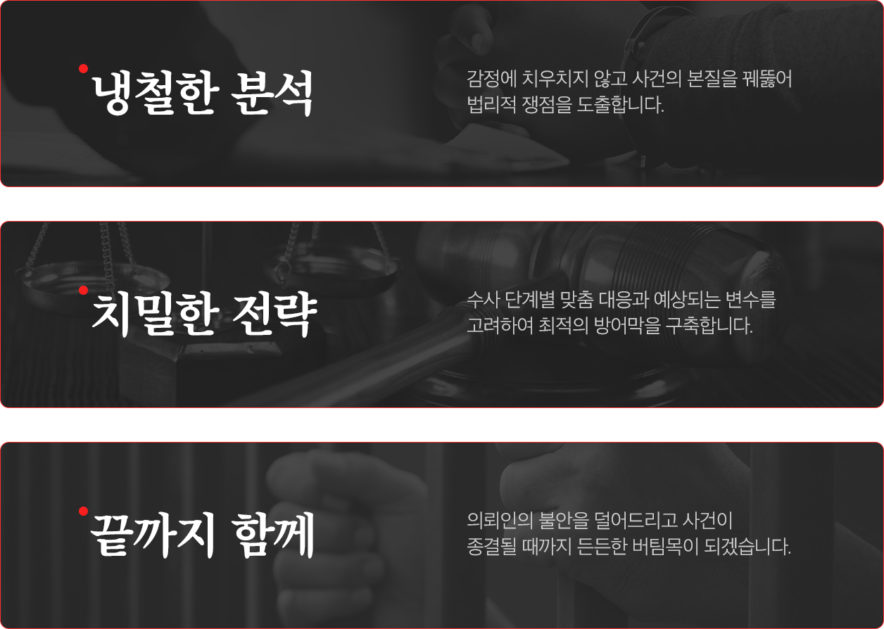 성범죄 변호사 주요 업무 사례