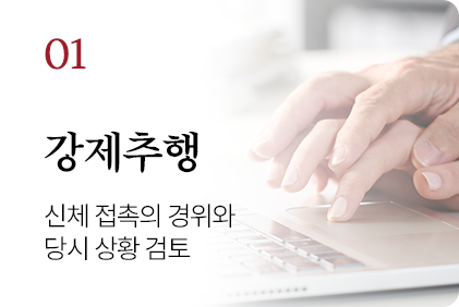 성범죄 사건 유형 1