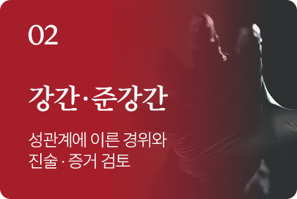 성범죄 사건 유형 2