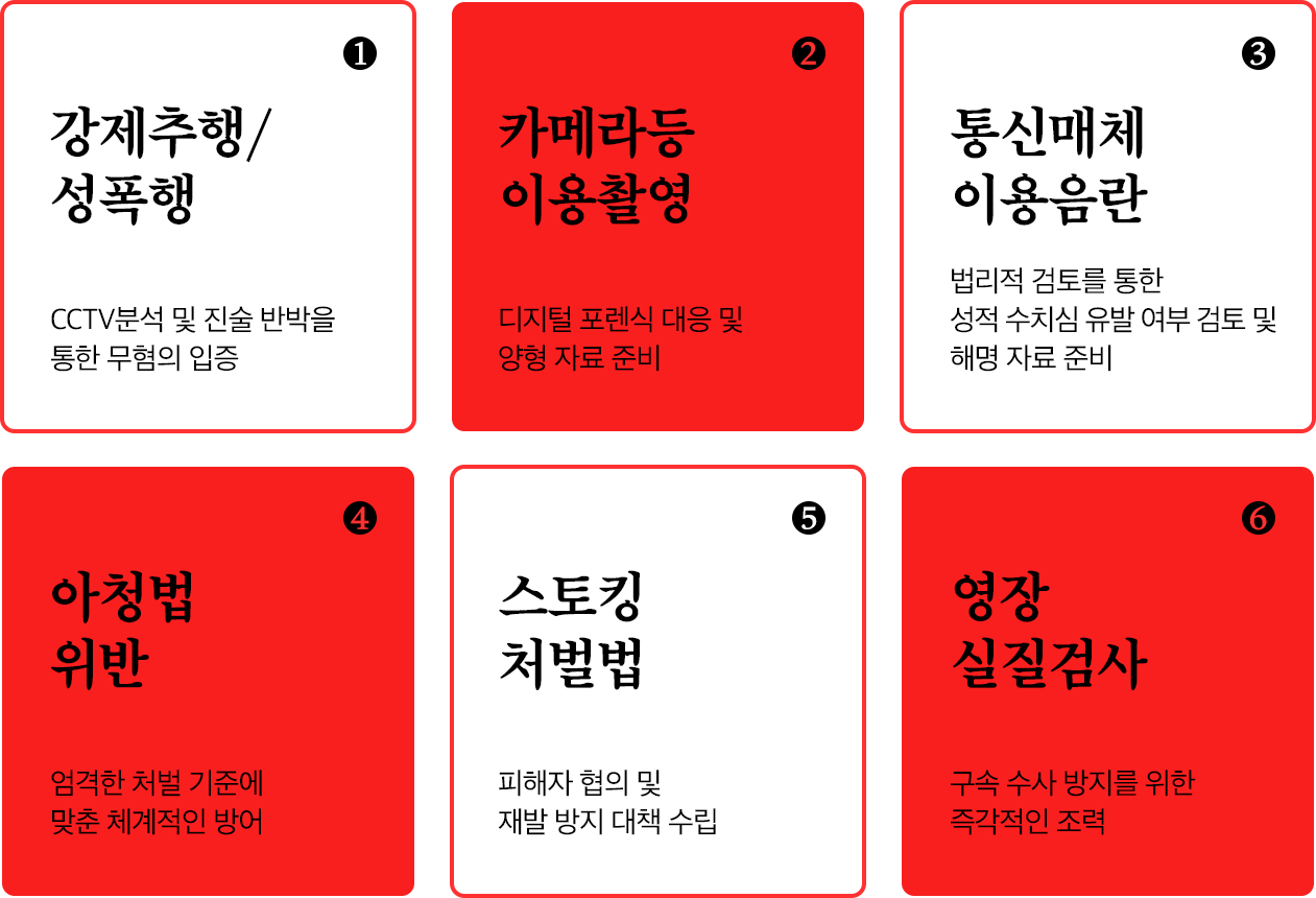강제추행 / 성폭행, 카메라등 이용촬영, 통신매채 이용음란, 아청법 위반, 스토킹 처벌법, 영장 실질검사